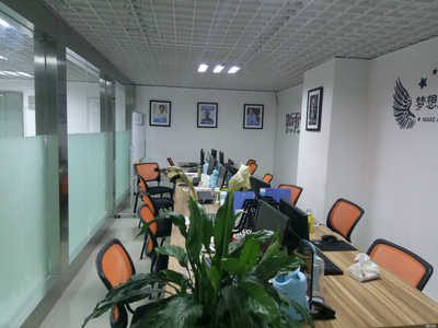 蘇州永真商務咨詢 專業商務信息咨詢服務解析