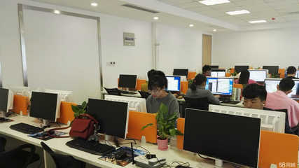 迅鋒商務(wù)信息咨詢 企業(yè)決策的智慧引擎與風(fēng)險(xiǎn)屏障